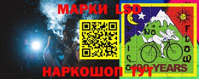 индика Нальчик